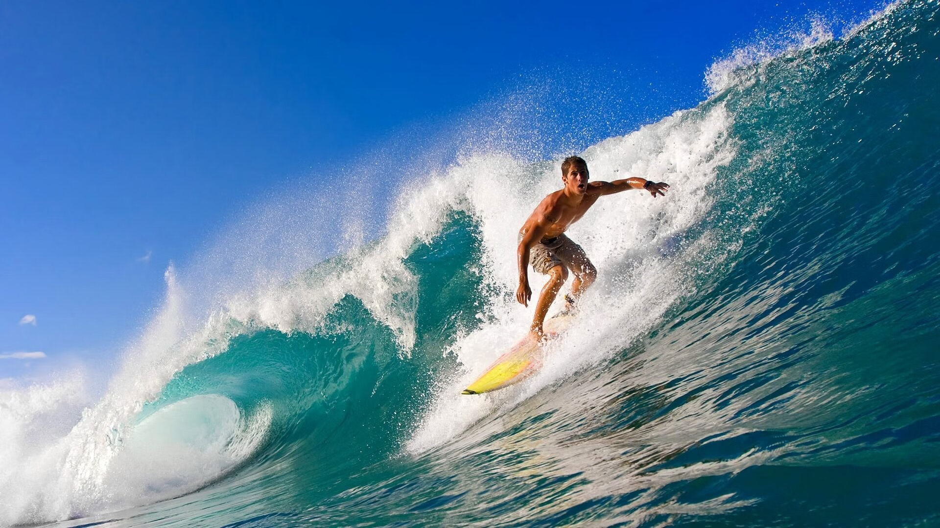 体育新闻中心官方快讯更新,体育新闻官网